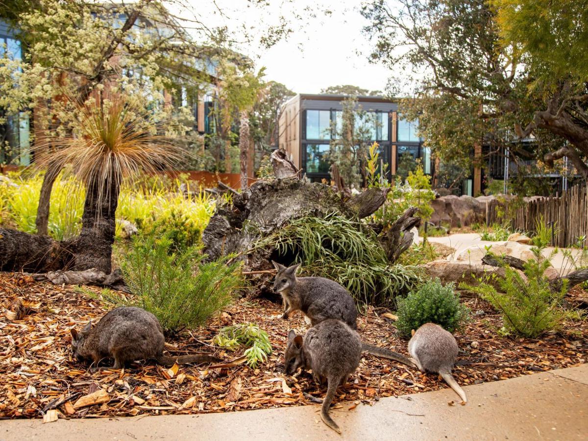 Wildlife Retreat At Taronga 호텔 시드니 외부 사진