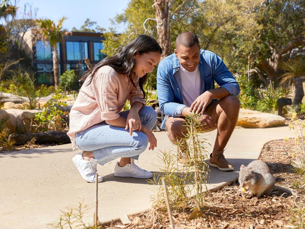 Wildlife Retreat At Taronga 호텔 시드니 외부 사진