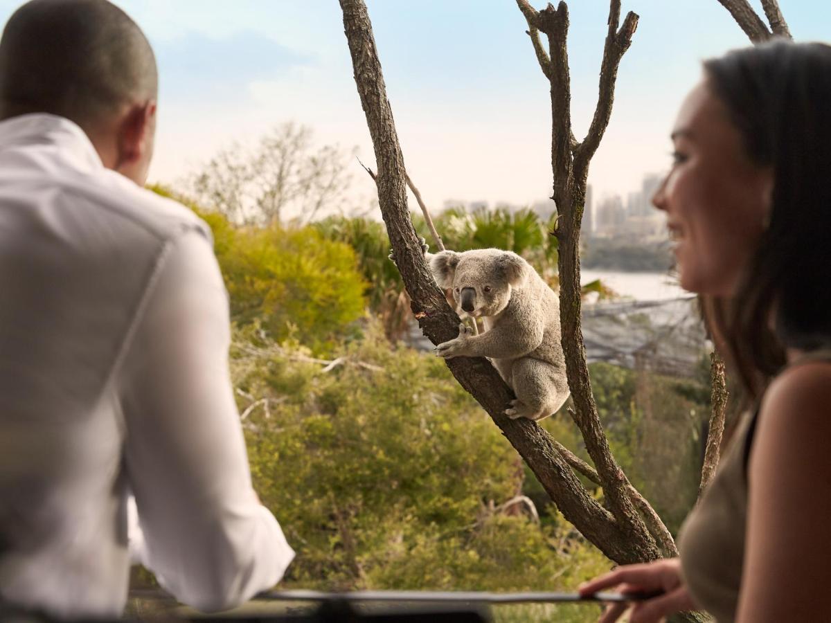 Wildlife Retreat At Taronga 호텔 시드니 외부 사진