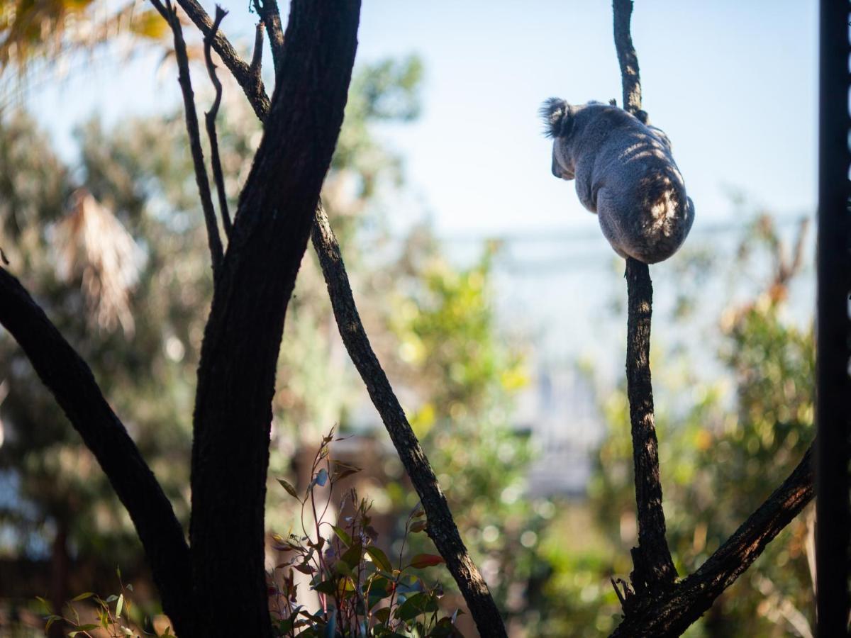 Wildlife Retreat At Taronga 호텔 시드니 외부 사진